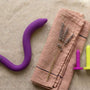 Intimate Rose pelvic wand beside a graduated set of coloured vaginal dilators on linen, comparing the two pelvic floor tools
