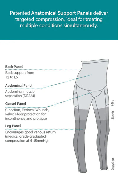 SRC C-Section Recovery Mini compression shorts anatomical support panel diagram