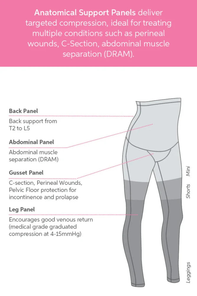 Diagram of anatomical support panels in clothing from SRC Health, illustrating the Back Panel for upper back support, Abdominal Panel for muscle separation support, Gusset Panel for perineal wounds and incontinence, and Leg Panel for venous return. Targeted compression clothing options include SRC C-Section Recovery Shorts and leggings.