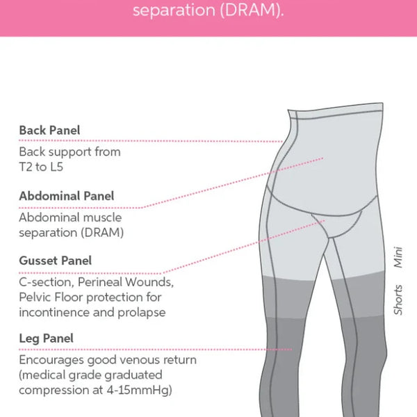 Diagram of anatomical support panels in clothing from SRC Health, illustrating the Back Panel for upper back support, Abdominal Panel for muscle separation support, Gusset Panel for perineal wounds and incontinence, and Leg Panel for venous return. Targeted compression clothing options include SRC C-Section Recovery Shorts and leggings.