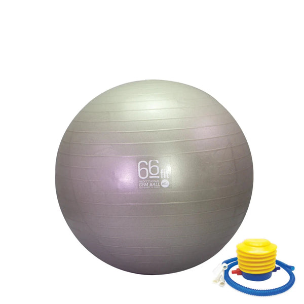 A silver exercise ball, also known as a Swiss ball, used for various fitness activities